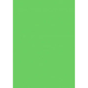 Farebný výkres Herlitz 50 x 70 cm, 10 hárkov, 300 g, svetlozelený